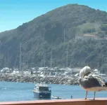 Hotel Esperia Hotel a Piombino