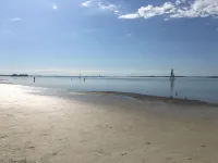 Ozona Guesthouse! 3 Blocks to Pinellas Trail, Brewery, Eats, & Dog Friendly!