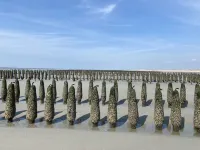 Sunny 2nd-floor apartment facing the sea. Wifi