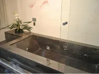Gamboa Rio Hotel Hotels near AquaRio
