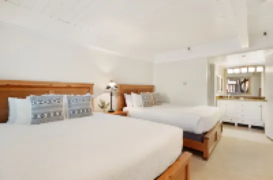 Ski-in Ski-Out Access and Cozy Fireplace - Spectacular Mountain Retreat