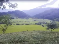 Superview Waterfall Hotels in East Sikkim