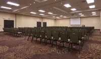 ウィンダム コスタ デル ソル アレキパ - ペット同伴可