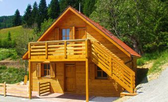 Apartment in Liebenfels in Carinthia Near Ski Area