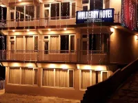 Mulberry Hotel Hotels in Gilgit