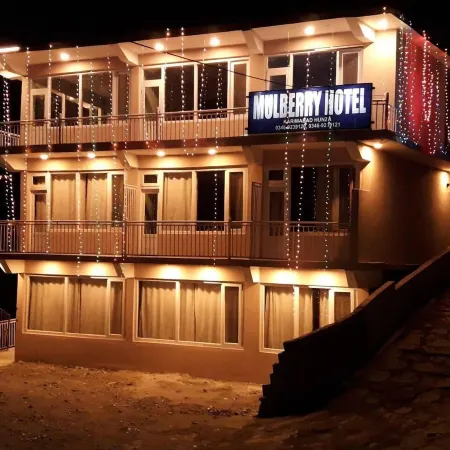 Mulberry Hotel Отели в г. Гилгит