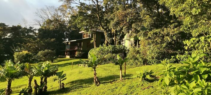 Hotel Flor de Bromelia Hotels in Monteverde