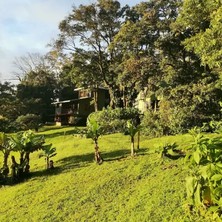 Hotel Flor de Bromelia