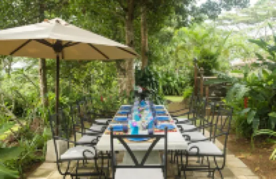 08 Acre Private Tea Estate Close to Galle
