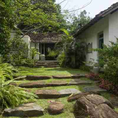 08 Acre Private Tea Estate Close to Galle Hotel Exterior