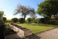 Stevns Klint Strandpension Hotels in Rodvig Stevns