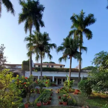 Mango Tree Courtyard Dehradun