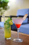 Jetwing Jungle Lodge, A Luxury Reserve - bar