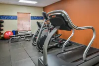 希爾頓歡朋套房酒店-博伊西梅里丹 - 健身室/gym room