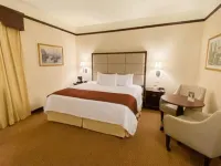 Safi Royal Luxury Centro Hotels in Monterrey