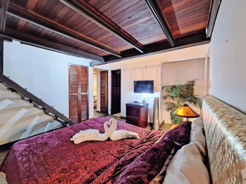 Colours Oasis Resort Adult Only