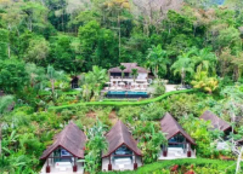 Oxygen Jungle Villas & Spa Hotels in 