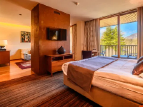 Hotel Balnea Superior - Terme Krka Hotels in Novo Mesto