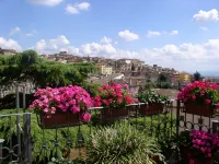 Primavera Mini Hotel - Scenic