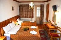 Hotel Adonis Hotels in Metsovo