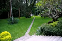 Equator Hotel Hotels near DOVE NEST GARDEN