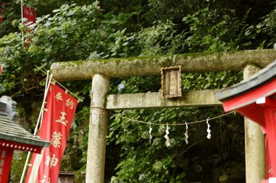 庭 箱根湯本温泉 天成園の写真