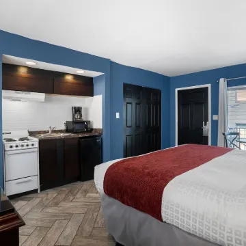Avalon Hotel Downtown St. Petersburg Hotels near Historic Kenwood