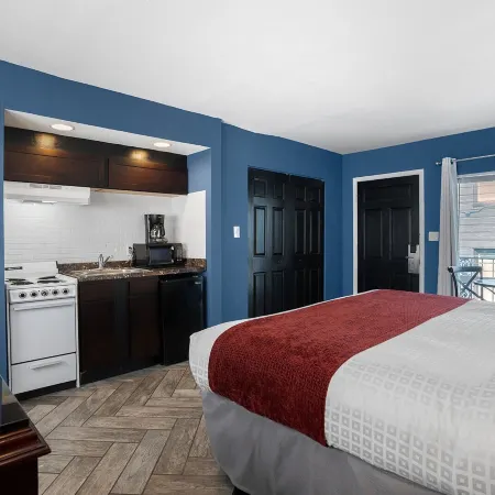 Avalon Hotel Downtown St. Petersburg