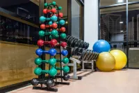 Mercure Salvador Boulevard - Gym