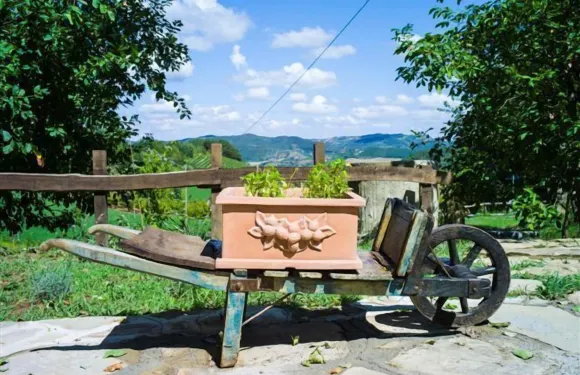 阿吉恩達阿格里柯拉博爾託洛蒂農莊酒店