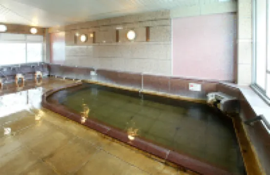 【源泉掛け流し 寛ぎの宿】別府 豊泉荘