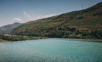 Torel Quinta da Vacaria – Douro Valley