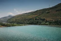 Torel Quinta da Vacaria – Douro Valley Hotels in Peso da Régua