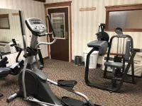 Ramada by Wyndham Saginaw Hotel & Suites