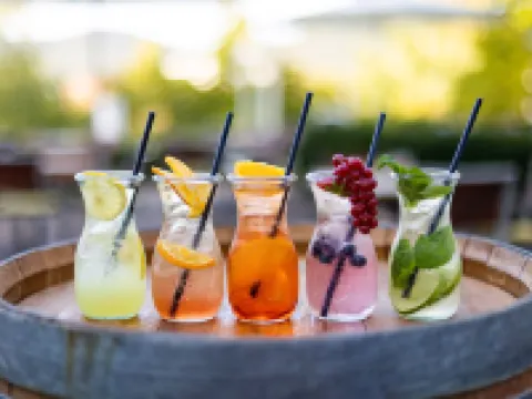 Heidelberg Marriott Hotel Hotels in Heidelberg