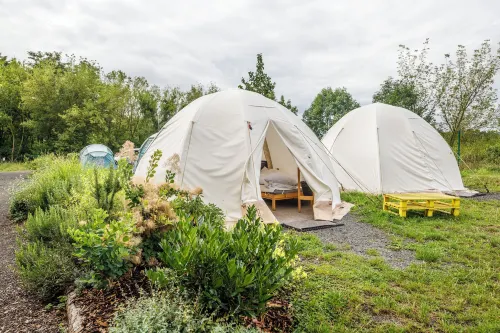 Kemp Děčín - Pet friendly