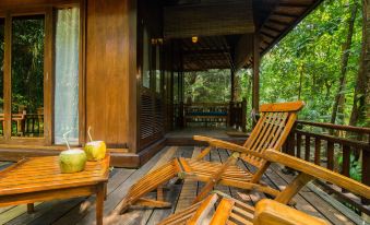 The Barefoot at Havelock