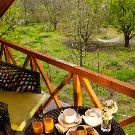 Larisa Resort Manali
