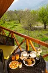 Larisa Resort Manali - Mountain view