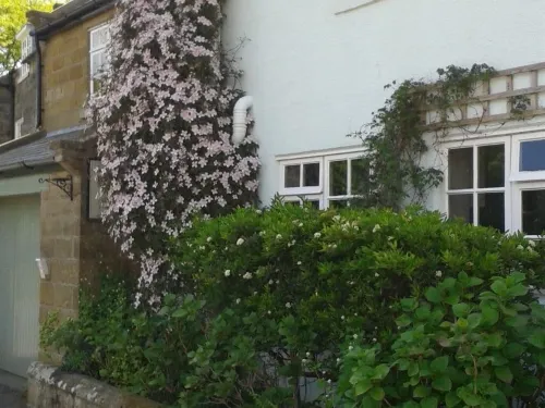 Thorpe Green House Vegetarian Bed & Breakfast