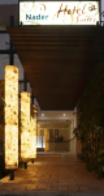 納德爾Y套房酒店