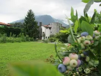 Agriturismo Cà Del Lago - Farmhouses