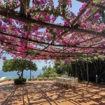 Villa Bijoux - Exclusive Pool and Sea View Hoteles en 