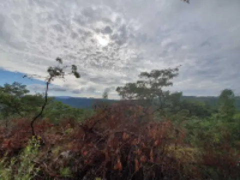 另一個度假屋 尼揚加酒店