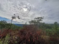 Another Holiday Home