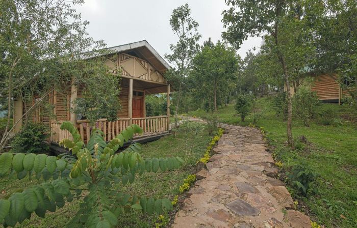 Bwindi Orugano Lodge