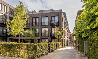 Playful and Luxurious Apartment in Heart of Delft