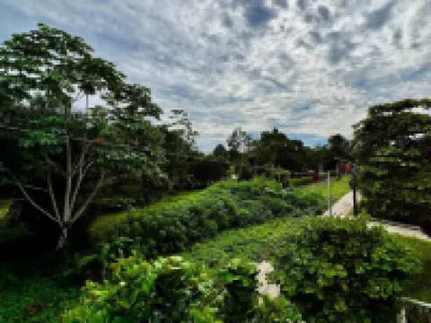 Hotel Paraiso Salvaje Hotels in Leticia