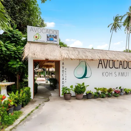 Avocado