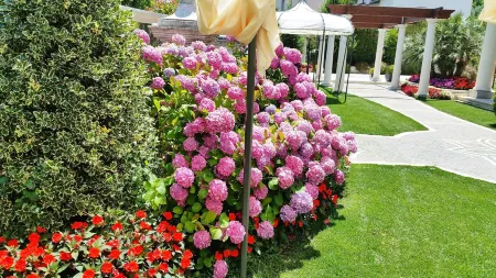 Regina di Saba - Hotel Villa Per Ricevimenti